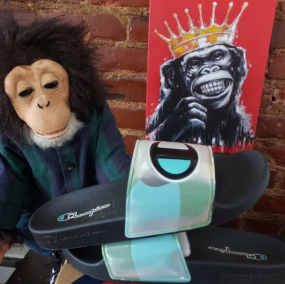 Champion Slides - Picture 6 of 9